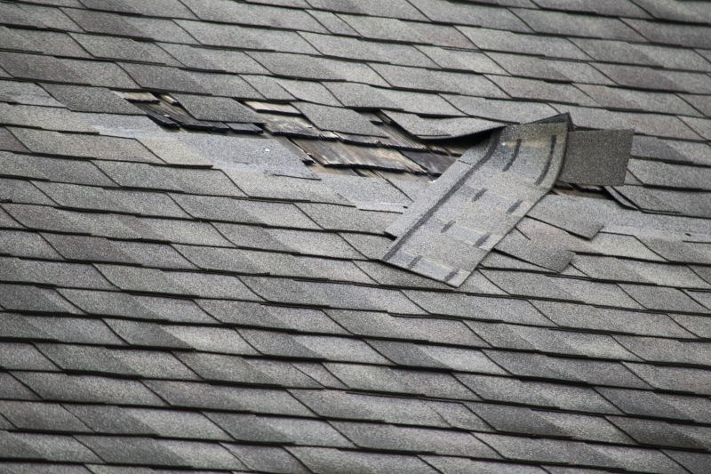 Asphalt Shingle Damage Inspection