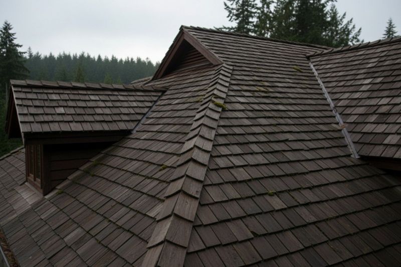 Wood Shake Roof Replacement detail